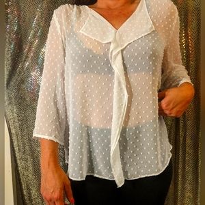 Women's Ann Taylor blouse size large